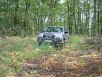 Sortie en for�t de Broc�liande