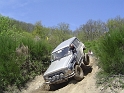 rass_2008