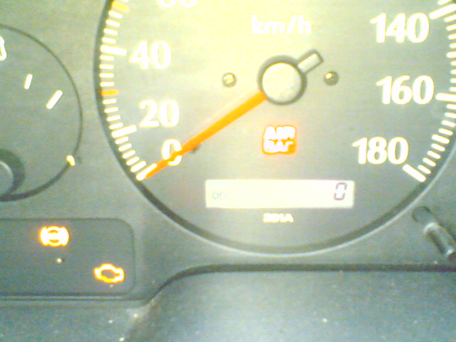 02072008007_157.jpg