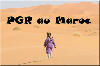 PGR au Maroc