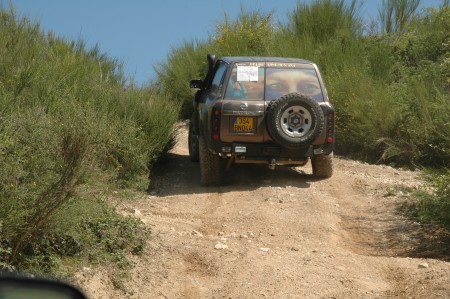 15.jpg