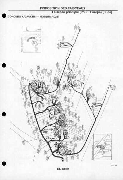 269_186.jpg