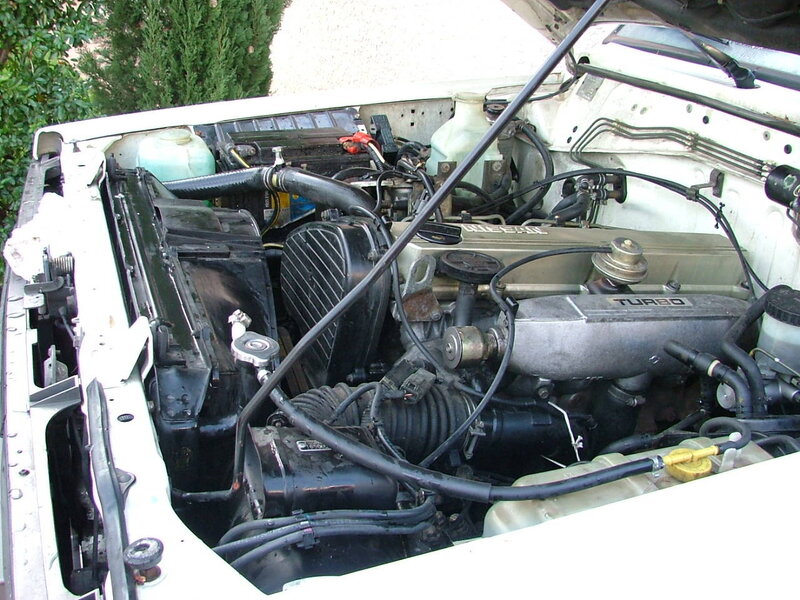 28_taz13_251.jpg