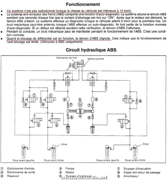 abs_principe_205.jpg