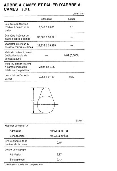 arbre__cames_790.jpg