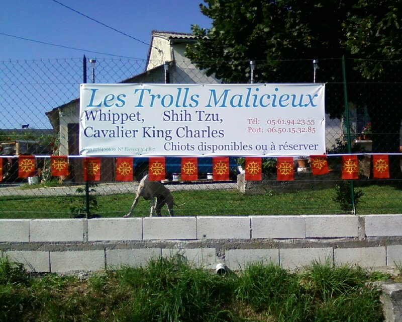 bristrot_troll_193.jpg