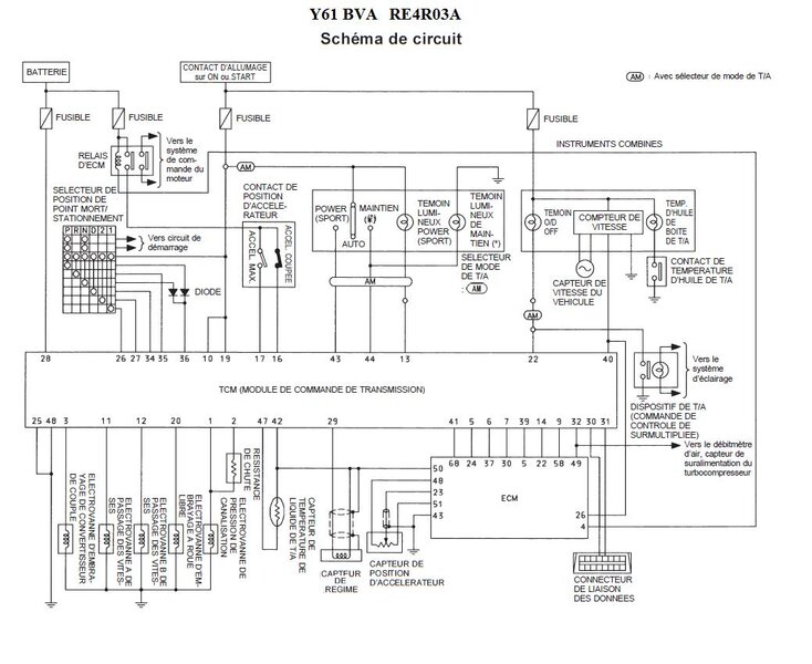 circuit_lectrique_576.jpg