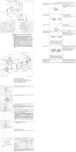 courroie_de_distrib_766.jpg