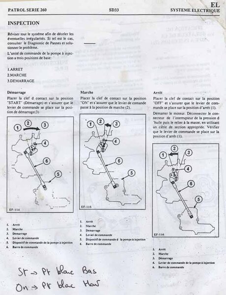 dpc_5_203.jpg