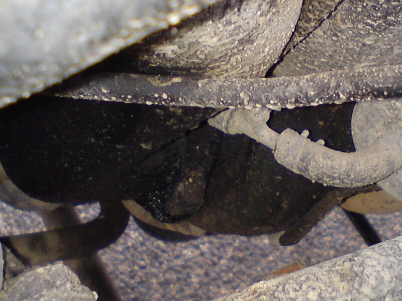 dsc00015_379.jpg