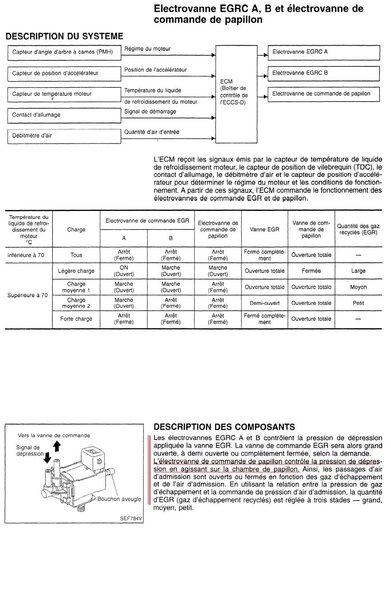 egr_papillon_28_201.jpg