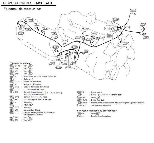 elec_faisceau_moteur_3_l_105.jpg