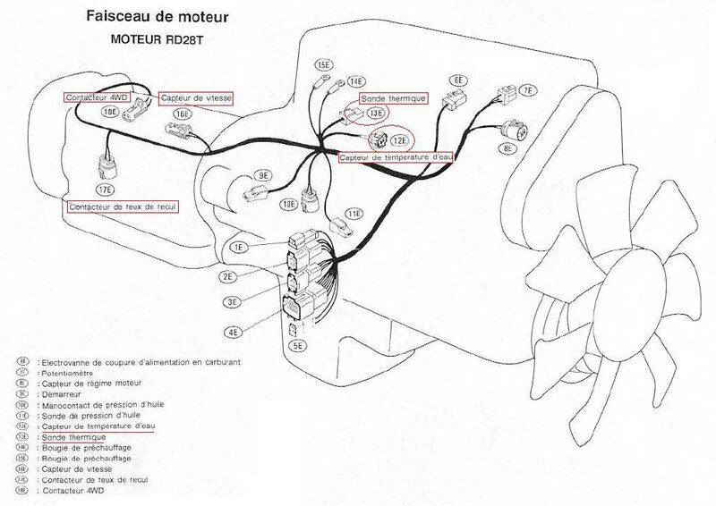 electric_faisceaux_moteur_148.jpg