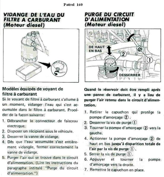 file0083_200.jpg