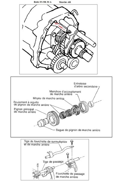 marche_ar_942.jpg