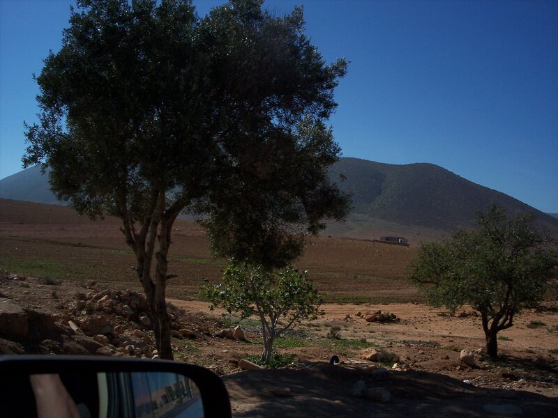 maroc_2008_010_137.jpg