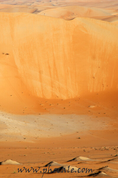 mur_de_dunes_liwa_copie_601.jpg