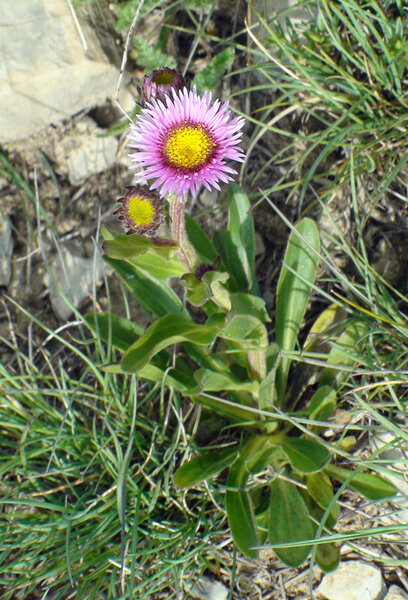 o56_202.jpg