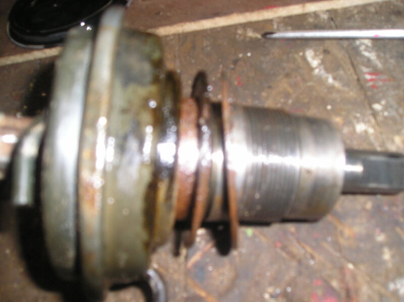 pb030131_869.jpg