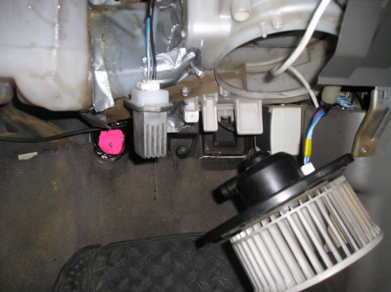 pb300149_965.jpg