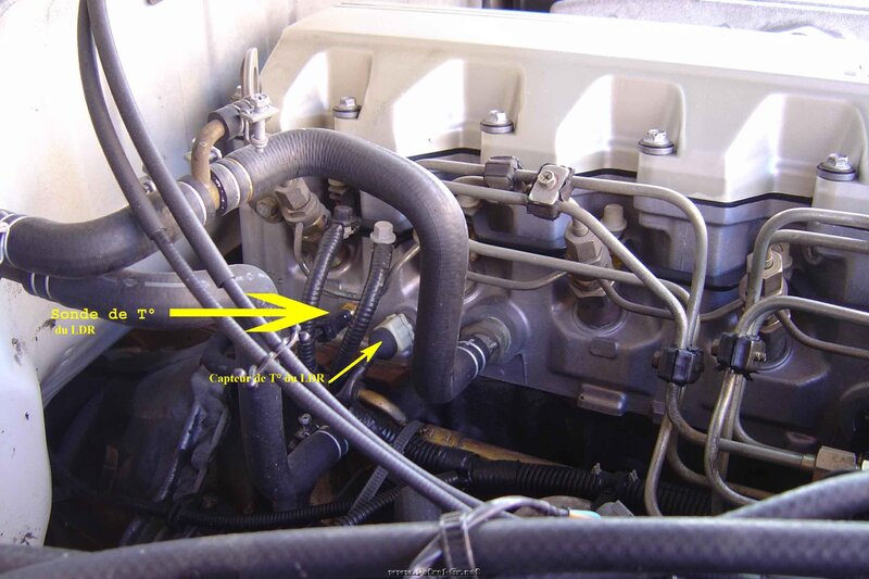 sonde_de_t_charly_du_hameau_122.jpg