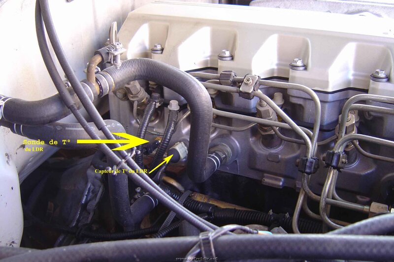 sonde_de_t_charly_du_hameau_823.jpg
