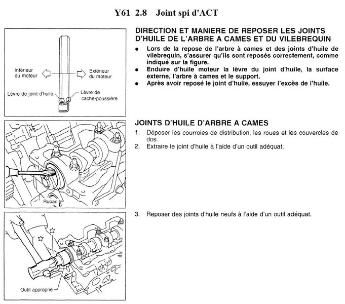 spi_darbre__cames_205.jpg