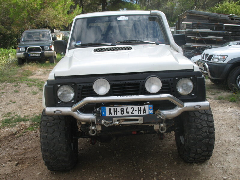 troll_avec_les_35_003_209.jpg