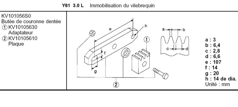 vilo_immobilisation_158.jpg