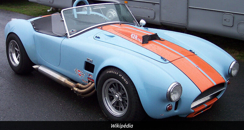 10-shelby-427-cobra.thumb.jpg.492e74cfa07eefe1282d441d557b5e42.jpg