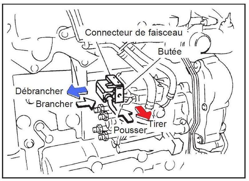 Débranchement.jpg
