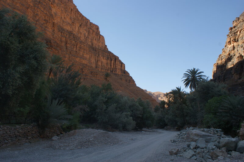 DSC02881.thumb.JPG.25cfb18b022a432b9ed63d7fbd7f4b50.JPG