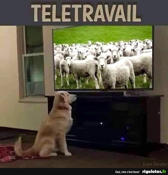 image.thumb.jpeg.3414619e4b7b134c3ee6b6c2a1cc22ec.jpeg