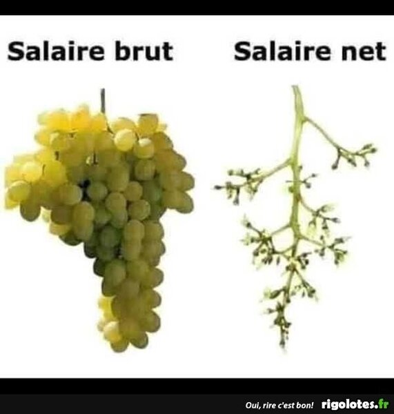 image.thumb.jpeg.bb0b3b2d3a99a6128a75708ef0cb6d19.jpeg