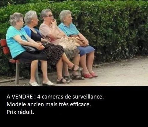 image.jpeg.488cca3a2da7bd3947b06a6fc408566b.jpeg