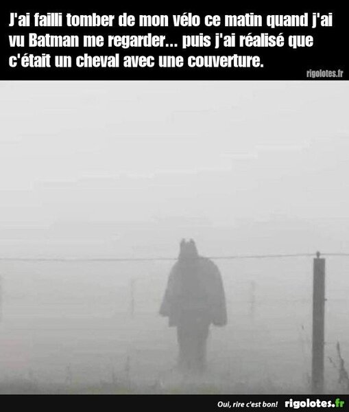 image.thumb.jpeg.1da531877759d0a2357898d6ce6f808e.jpeg