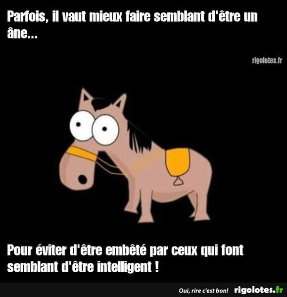 image.thumb.jpeg.76a1d13b5b3b3012ea166d873e2163db.jpeg