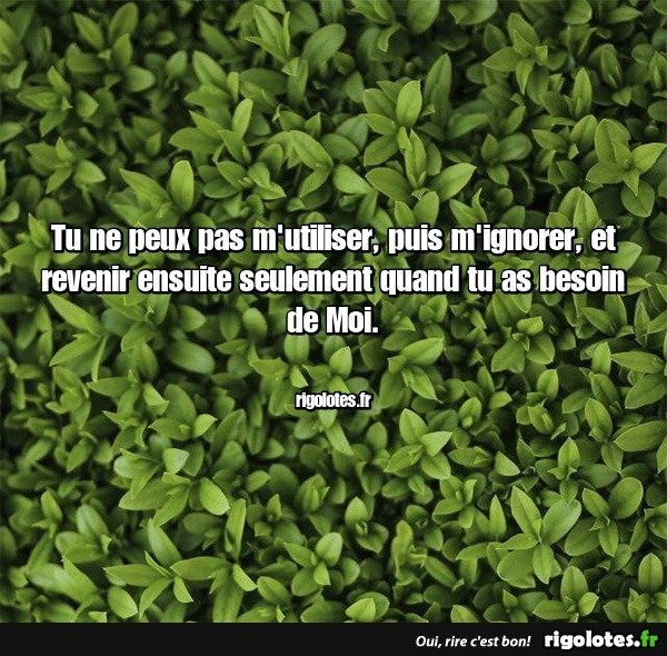 image.jpeg.4cf0ca439749110d142d940c8d4d9ee2.jpeg