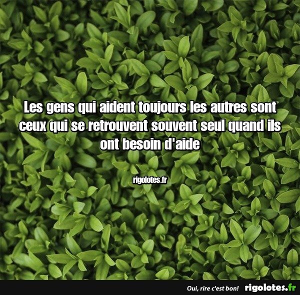 image.jpeg.eb4e37eea1eea1ff670acca84477768f.jpeg