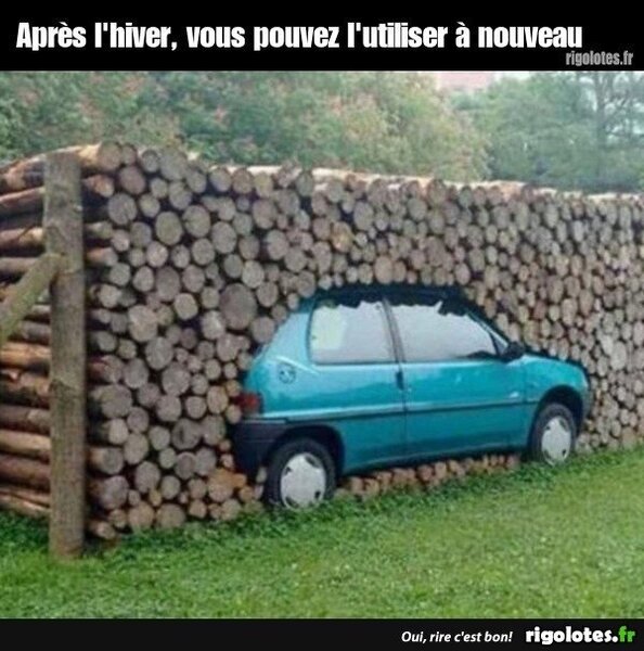 image.thumb.jpeg.5d4f4cf251a8f4c296f1de8d73c71451.jpeg