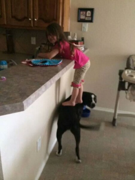 image.thumb.jpeg.fb53287527a0d27dccb01f10d0440511.jpeg