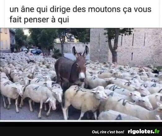 image.jpeg.7fd55b10d8f9c82f4c95fe23df4cf2d0.jpeg