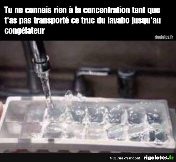 image.jpeg.ac551b32a27cd0fc1b5b1bad8b39651c.jpeg