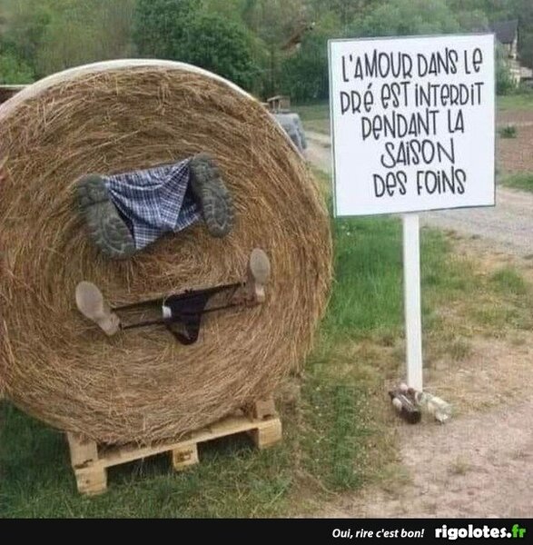 image.thumb.jpeg.0a7492a7f874b7ea2da6b4f0d7aee8a0.jpeg