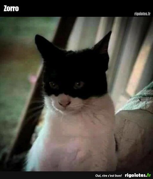 image.thumb.jpeg.0bed721a6a5b30985b3954de42144289.jpeg