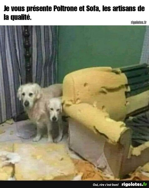 image.thumb.jpeg.478b043a6bb7b7333b6ed83d448e3bae.jpeg