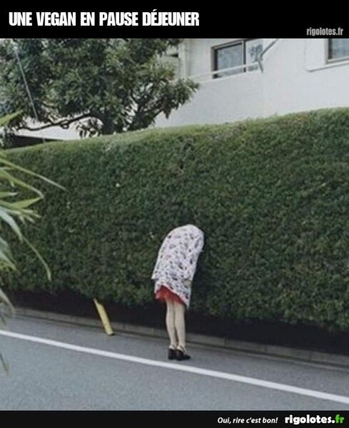 image.thumb.jpeg.8897a23b33e6ab23dfc8c984d7e703e7.jpeg