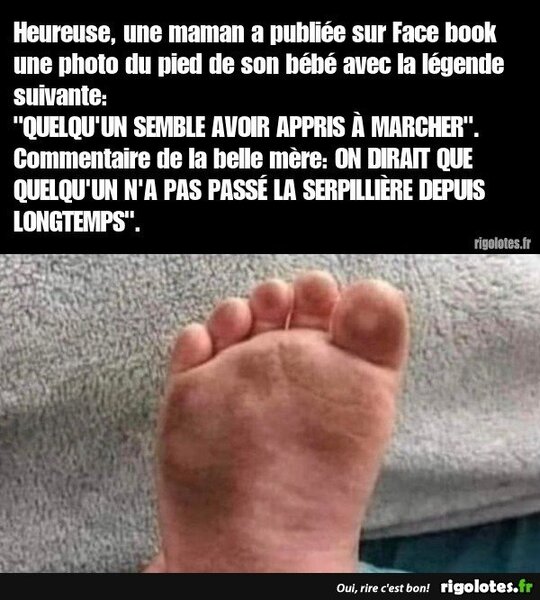 image.thumb.jpeg.e5394adaa8ad4d2cca15880d589037a7.jpeg