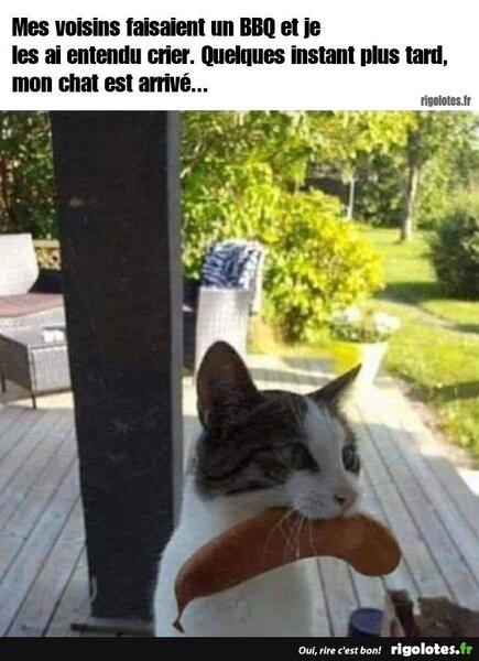 image.thumb.jpeg.f2a2902692473c870bf3a57b2aaf967b.jpeg