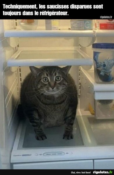 image.thumb.jpeg.74a8e96a753c3a2392ba0af886482139.jpeg